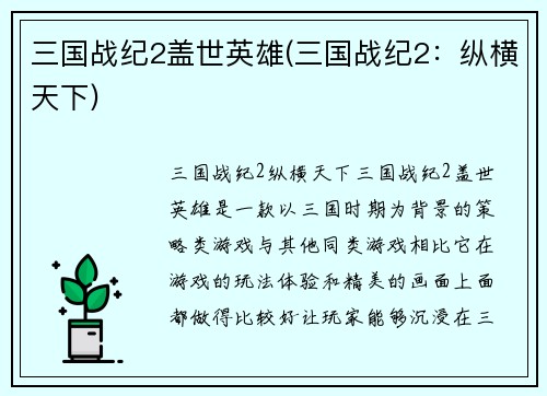 三国战纪2盖世英雄(三国战纪2：纵横天下)